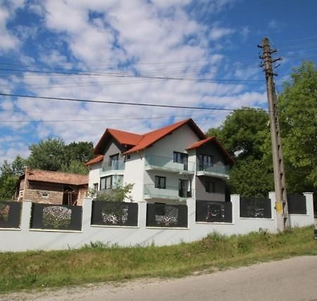 Pensiunea Albero Curtea De Arges Exterior photo