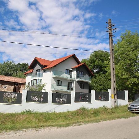 Pensiunea Albero Curtea De Arges Exterior photo